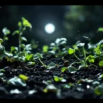 scopri il gesto inaspettato che rovina le tue piante in una sola notte, più del freddo e del vento. proteggi il tuo giardino con i nostri consigli.