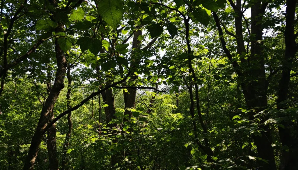 scopri le ragioni dietro la vera distruzione dell'arco degli innamorati, un simbolo storico e romantico con una storia affascinante.