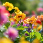 scopri perché le tue piante smettono di fiorire e i consigli dei giardinieri esperti per mantenerle sempre rigogliose e piene di colore tutto l'anno.